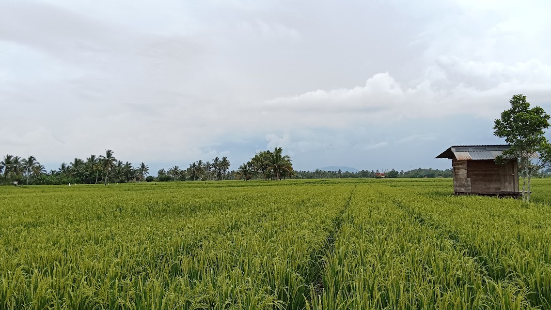 Ladang Sawah